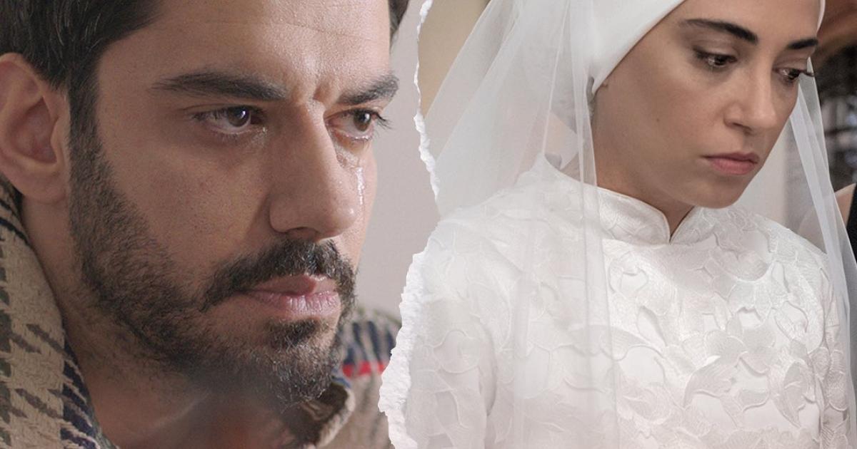 مسلسل شراب التوت