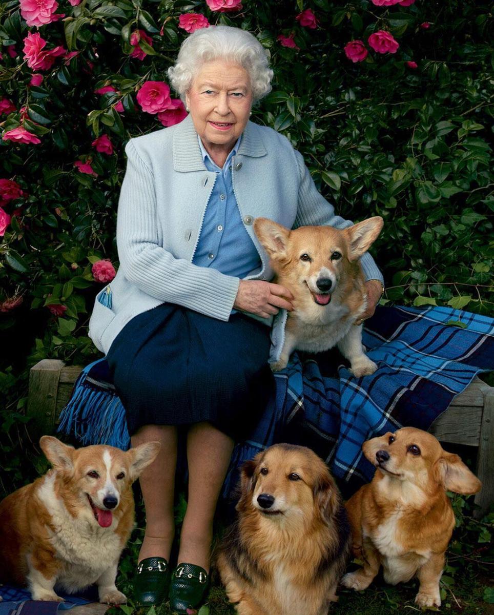 "فولكان" كلب الملكة إليزبيث يموت بعد 13 عاماً في القصر 