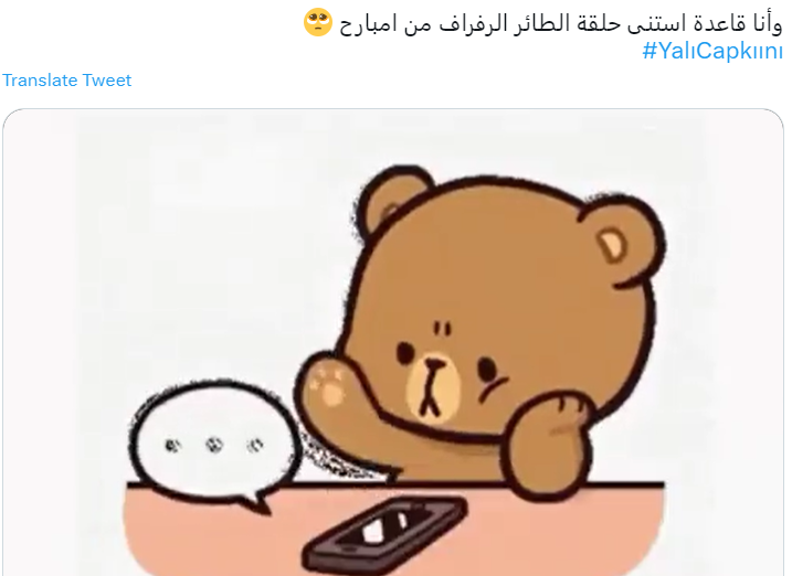 سبب إلغاء الحلقة 32 من مسلسل الطائر الرفراف Yalı Çapkını 