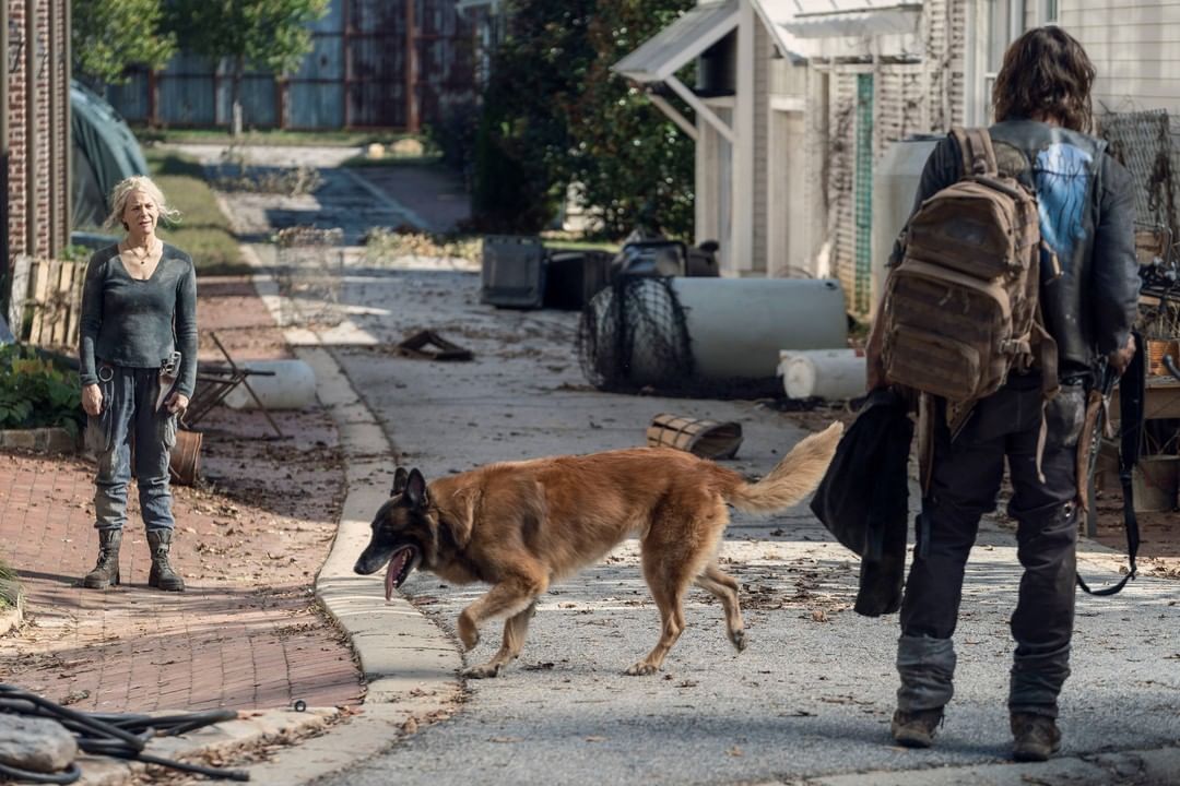هذا موعد الموسم 11 والأخير من The Walking Dead | ET بالعربي