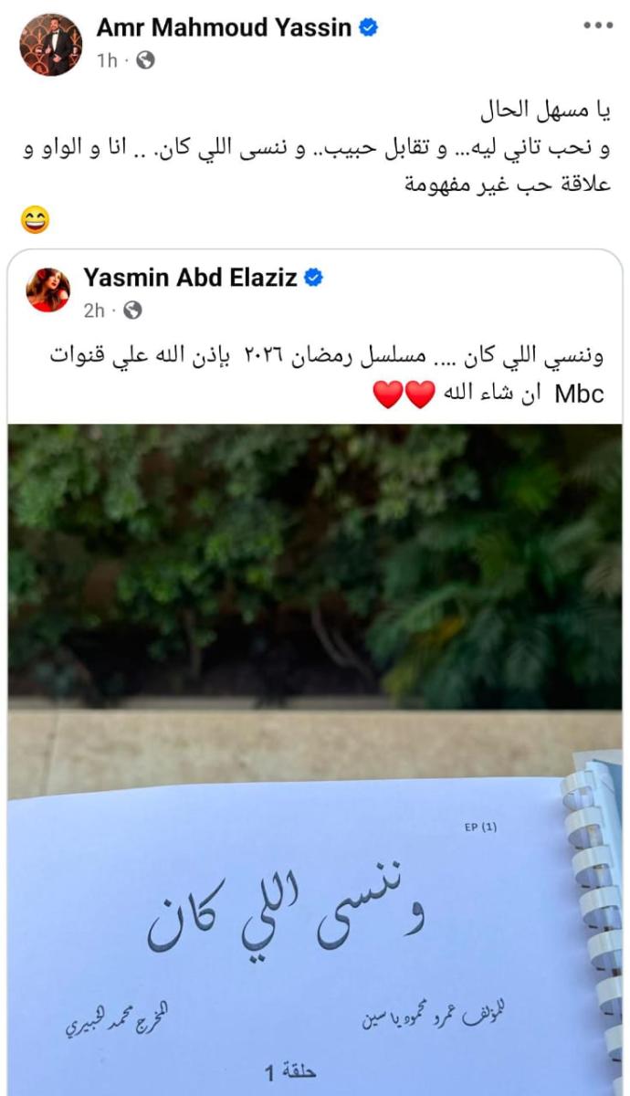 عمرو محمود ياسين 