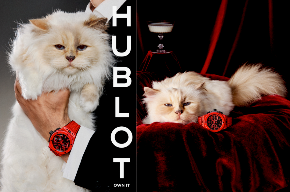 Choupette: شخصية جريئة لهوية لا تعرف الخوف