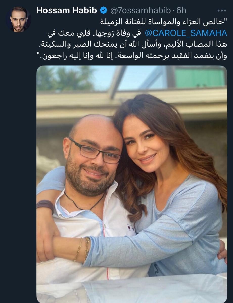 حسام حبيب