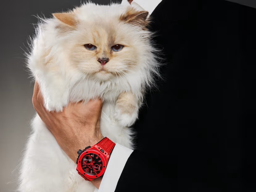 Choupette في حملة هوبلو: القطة الأشهر لاحتفال الذكرى العشرين لمجموعة "بيغ بانغ"