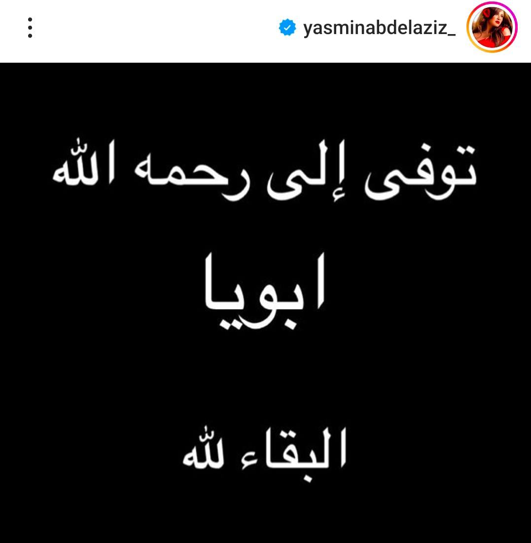 ياسمين عبد العزيز 