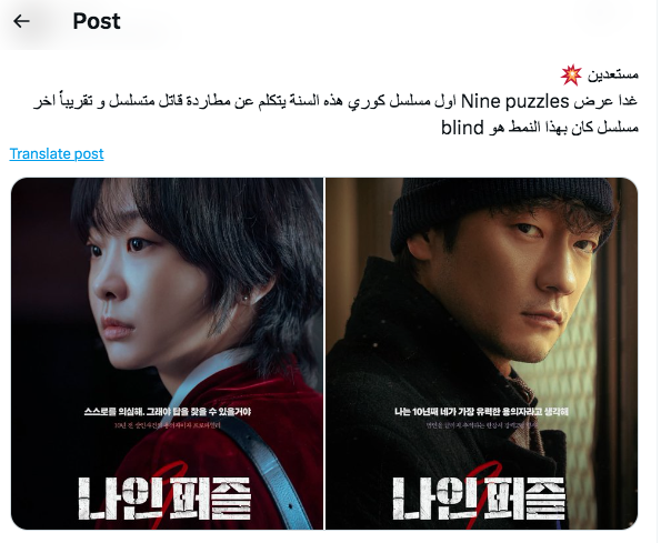 مسلسل Nine Puzzles - تسعة ألغاز