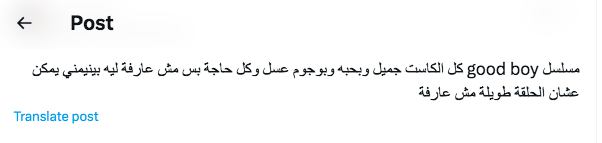 مسلسل ولد جيد - Good Boy