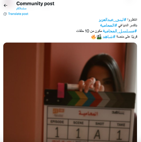 مسلسل المحامية