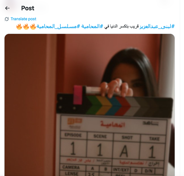 مسلسل المحامية