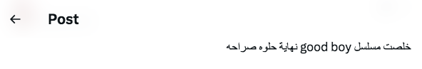 مسلسل الفتى الجيد - Good Boy
