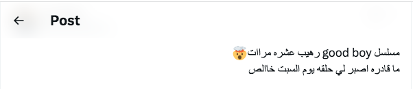 مسلسل الفتى الجيد - Good Boy