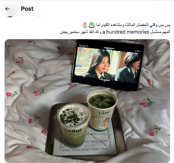 مسلسل A Hundred Memories – مئة ذكرى