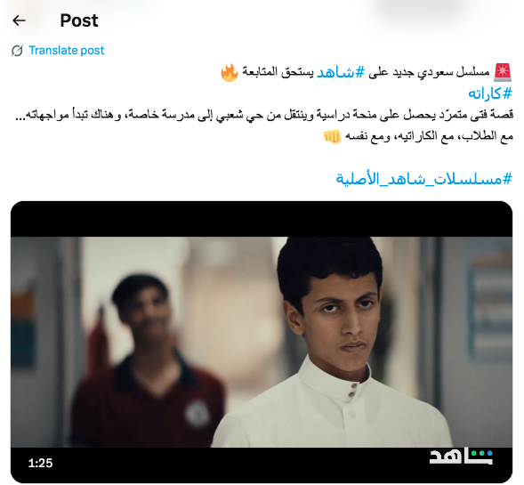 مسلسل كاراته - مسلسل كاراتيه