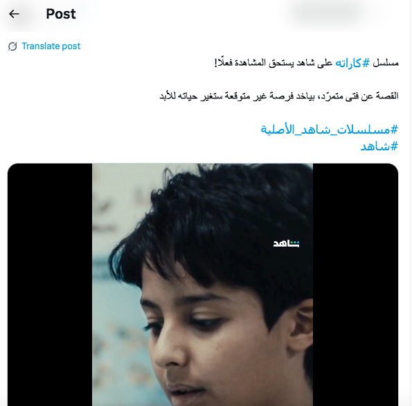 مسلسل كاراته - مسلسل كاراتيه