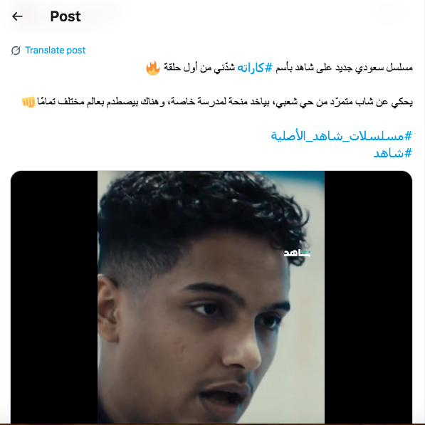 مسلسل كاراته - مسلسل كاراتيه