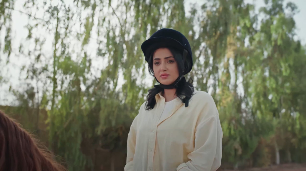 مسلسل المرسى الحلقة 14