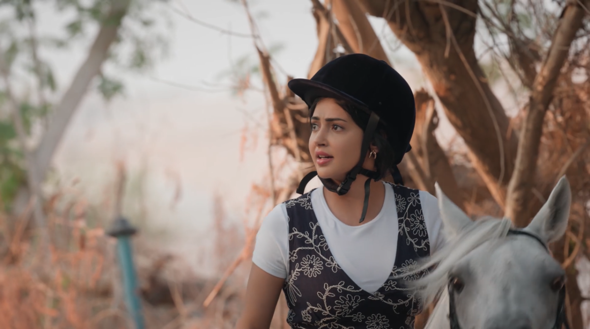 مسلسل المرسى الحلقة 24