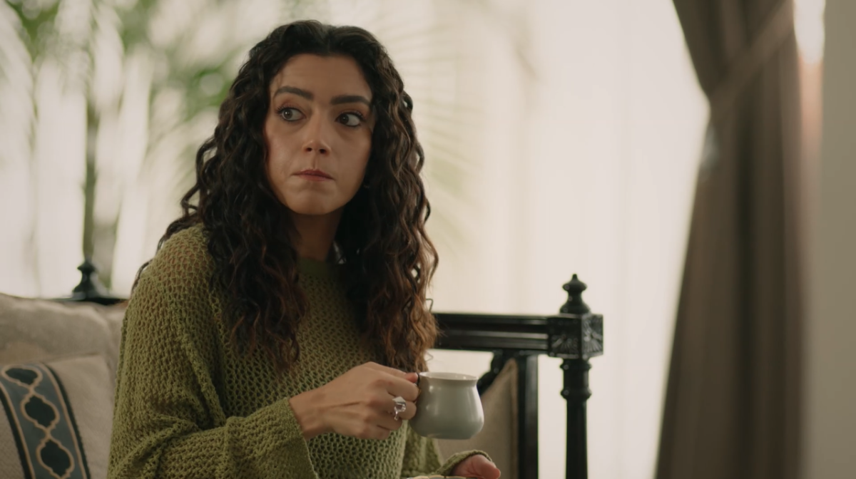 مسلسل سلمى الحلقة 87