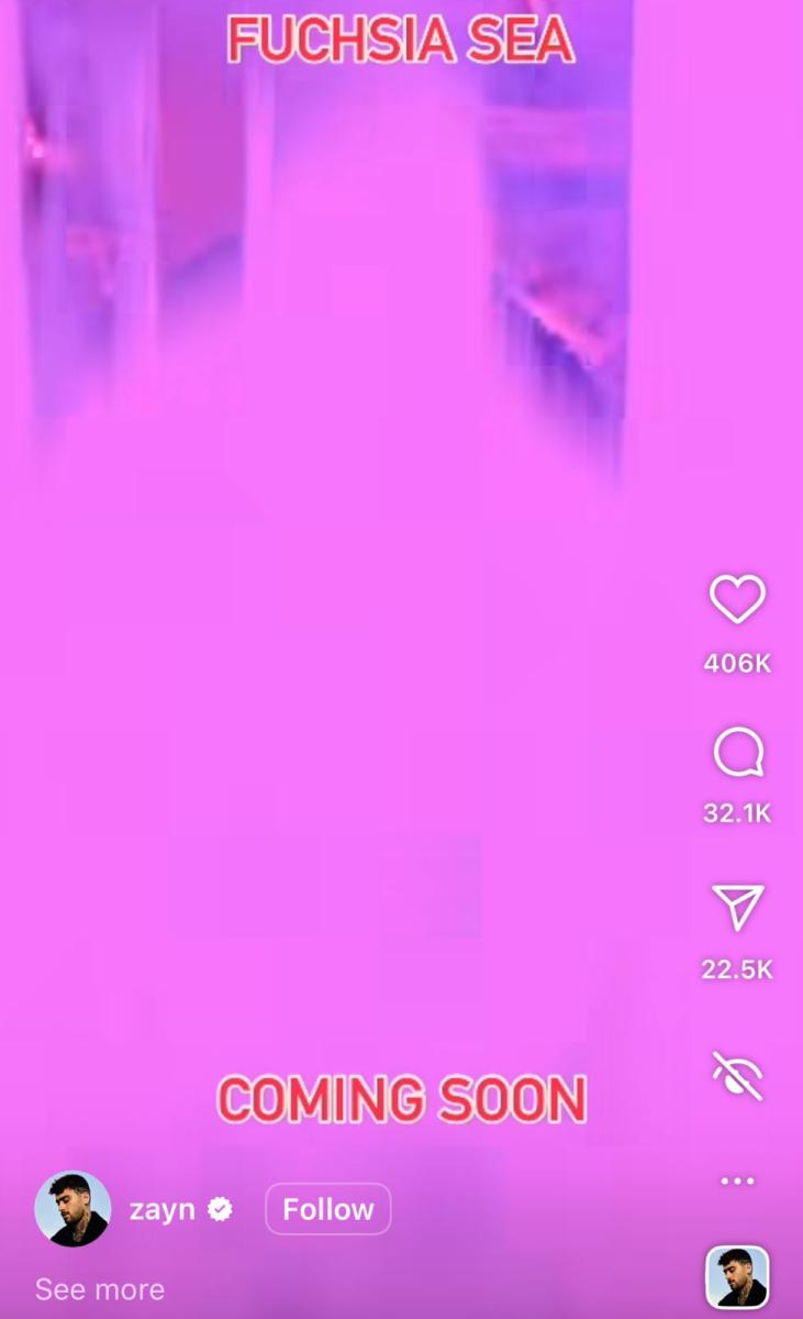 زين مالك