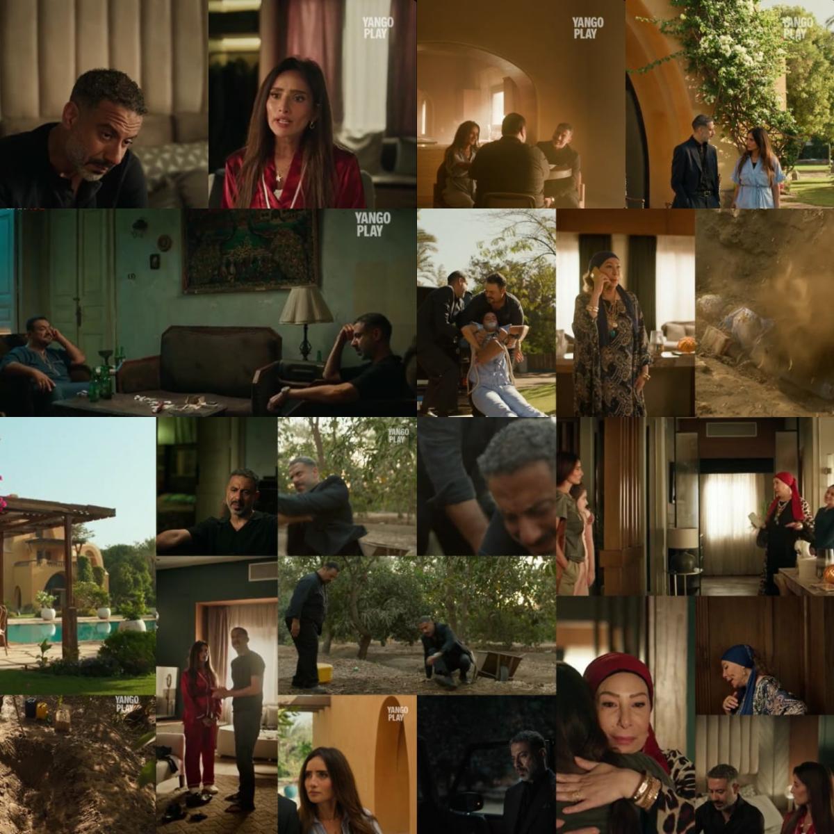 ورد وشوكولاتة - مسلسل ورد وشوكولاتة الحلقة 8 - زينة ورد وشوكولاتة - محمد فراج ورد وشوكولاتة - مقتل مروة - تشابه أحداث ورد وشوكولاتة وشيماء جمال - منصة يانغو بلاي - أفضل مسلسلات 2025 - تفاعل الجمهور ورد وشوكولاتة - دراما مصرية 2025