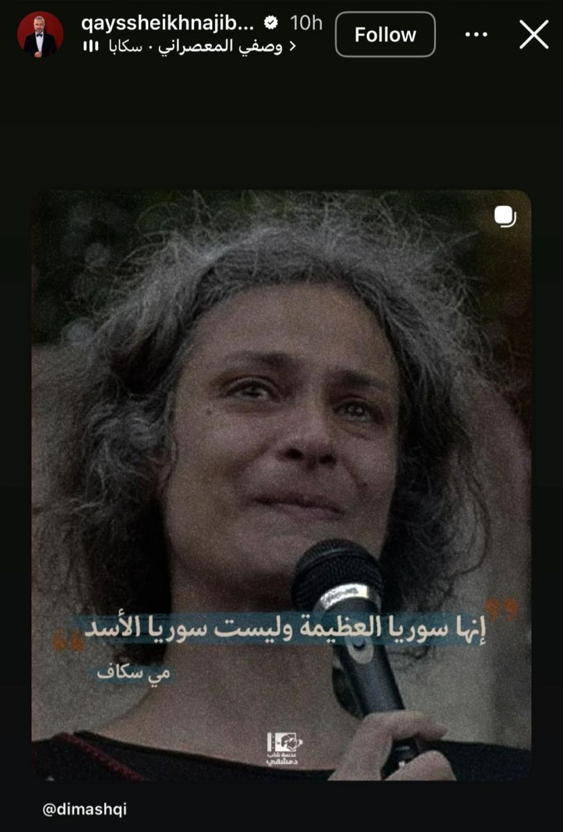 قيس الشيخ نجيب