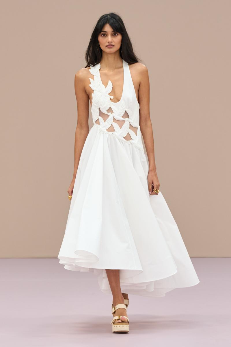 زيمرمان ربيع 2026