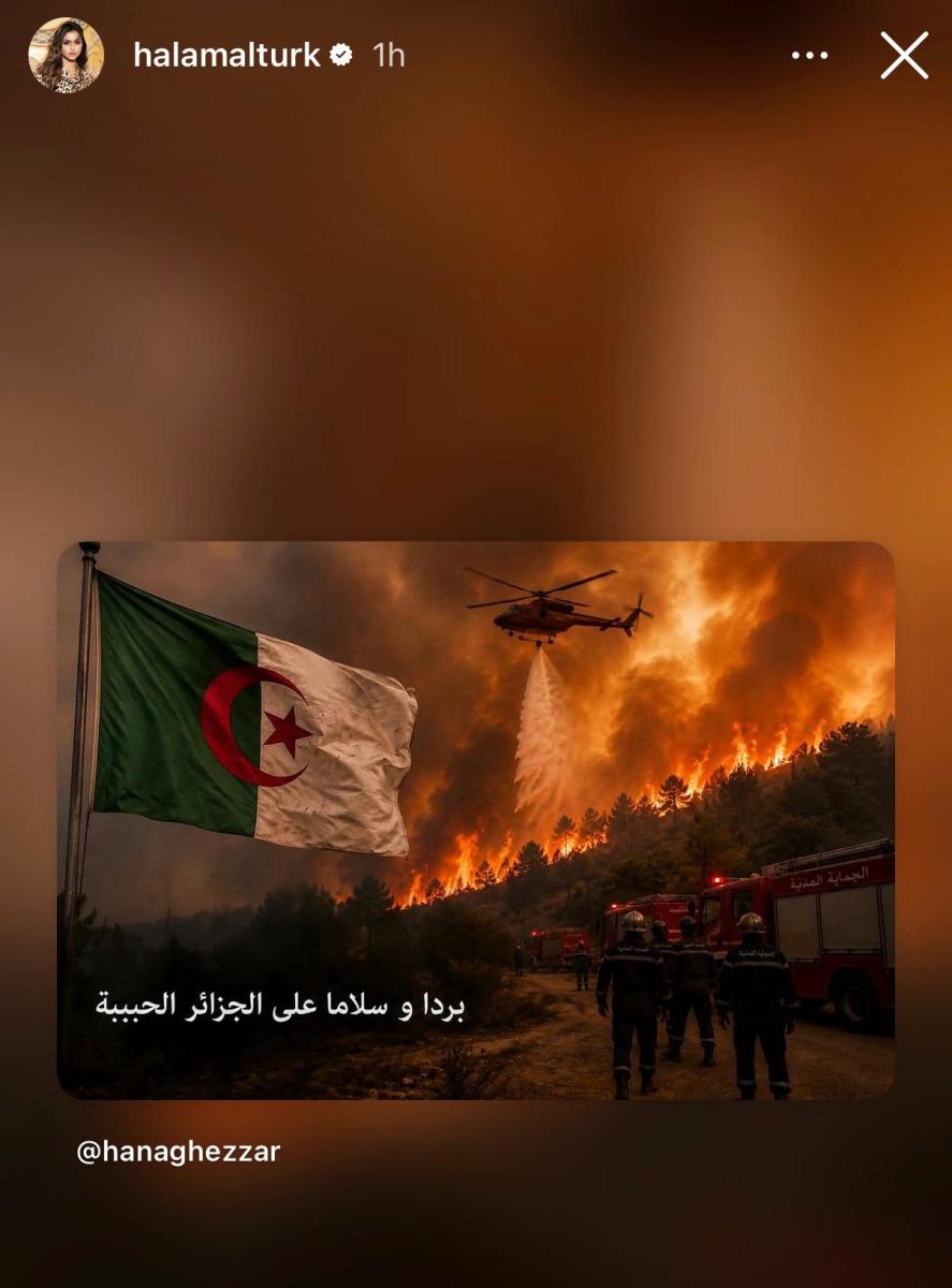 منشور حلا الترك