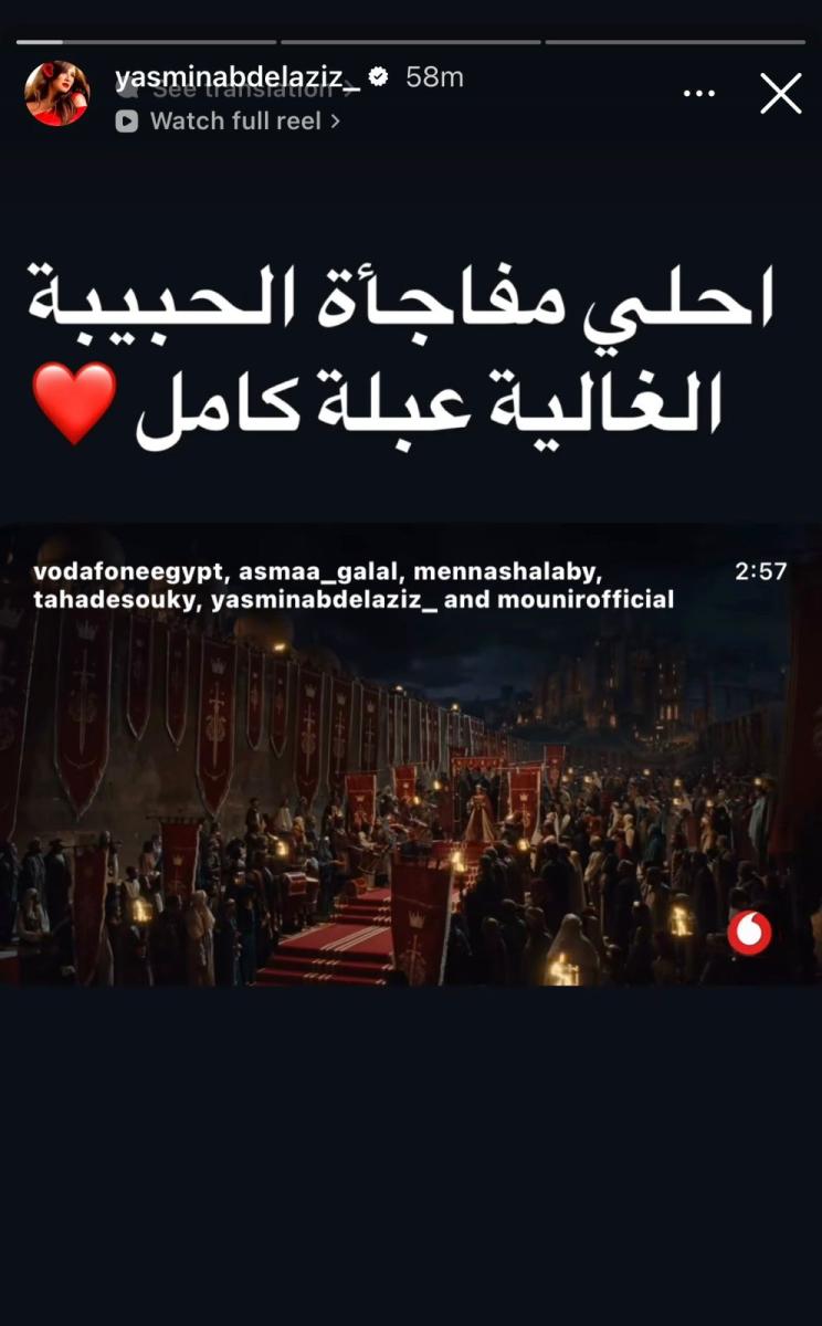 ياسمين عبد العزيز