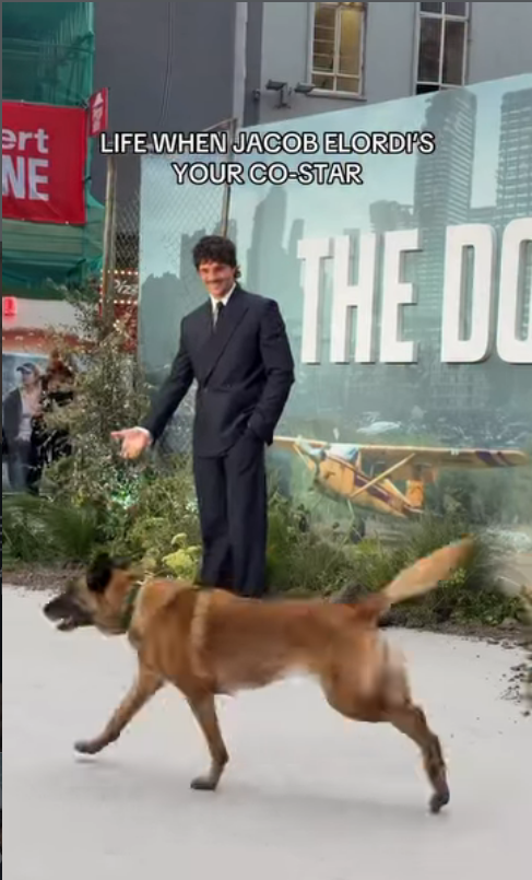ذا دوغ ستارز - The Dog Stars - جاكوب إلوردي - Jacob Elordi - مارغريت كوالي - Margaret Qualley - جوش برولين - Josh Brolin - ريدلي سكوت - Ridley Scott - العرض العالمي الأول لذا دوغ ستارز - The Dog Stars world premiere - فيلم The Dog Stars - فيلم ذا دوغ ستارز 2026 - أفلام جاكوب إلوردي - Jacob Elordi The Dog Stars - مارغريت كوالي The Dog Stars - Josh Brolin The Dog Stars - أفلام ريدلي سكوت - Ridley Scott movies - أفلام الخيال العلمي 2026 - أفلام ما بعد نهاية العالم - أفلام هوليوود 2026 - السجادة الحمراء في لندن - Odeon Luxe Leicester Square - Rak Jasper - راك جاسبر - أخبار هوليوود - أخبار الأفلام العالمية