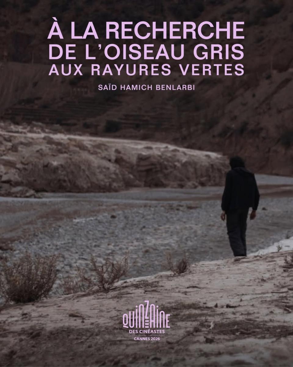 بوستر فيلم In Search of the Green-striped Bird