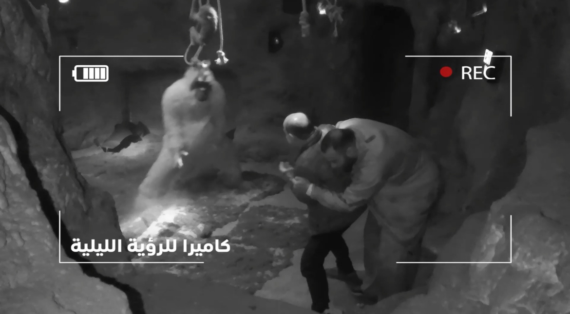 عمرو الدرديري برنامج رامز ليفل الوحش رمضان 2026