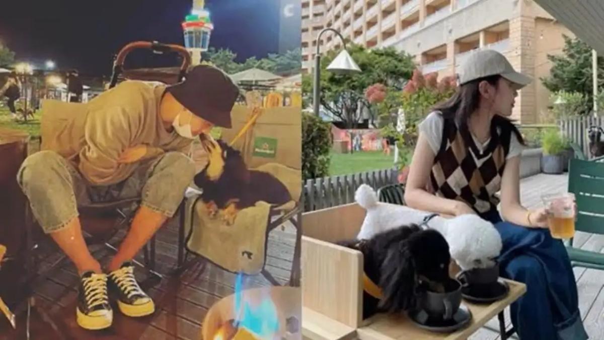 سويونغ Sooyoung - جونغ كيونغ هو Jung Kyung-ho - انفصال المشاهير - Girls' Generation - K-pop - K-drama - Saram Entertainment - Management Orem - كوريا الجنوبية South Korea - إنستغرام Instagram - أفلام ومسلسلات كورية - My Spring Days - 38 Task Force - Man Who Sets the Table - Run On - Namnam - The Merchant of Venice - Okay Madam 2 - I Came Back from School - Sorry I Love You - Time Between Dog and Wolf - Smile You - Falling for Innocence - Missing Nine - Prison Playbook - Hospital Playlist - Life on Mars - Hit the Top - Labor Attorney No Moo-jin - Boss 2025 - Hooking Romance ENA