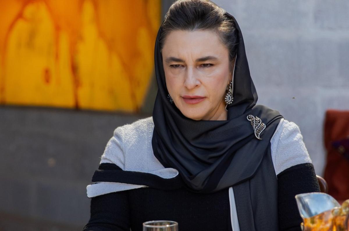 مسلسل نصف أم -&nbsp;Anne Yarısı