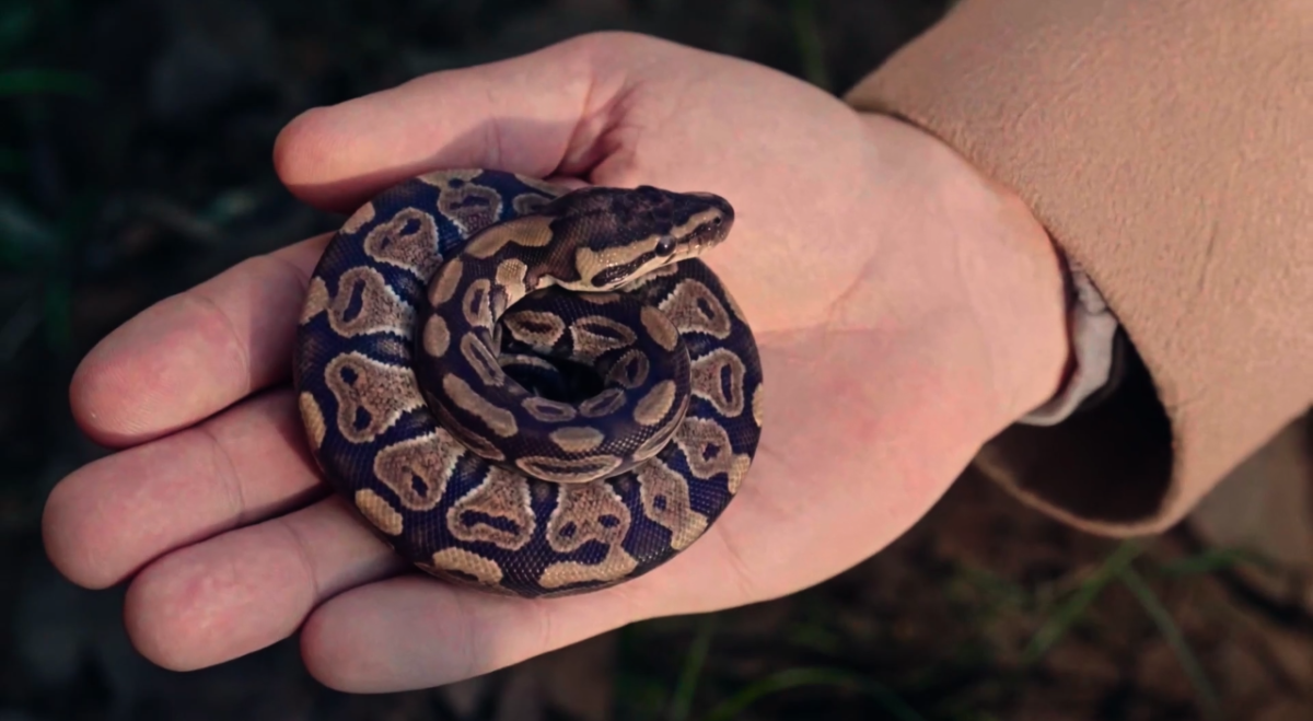 مسلسل مولانا الحلقة 20