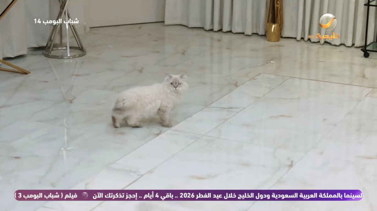 مسلسل شباب البومب 14 الحلقة 27