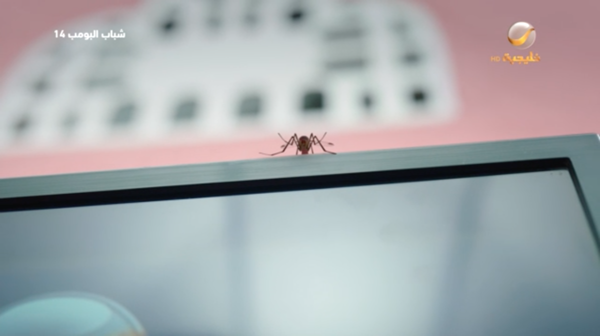 مسلسل شباب البومب 14 الحلقة&nbsp;29