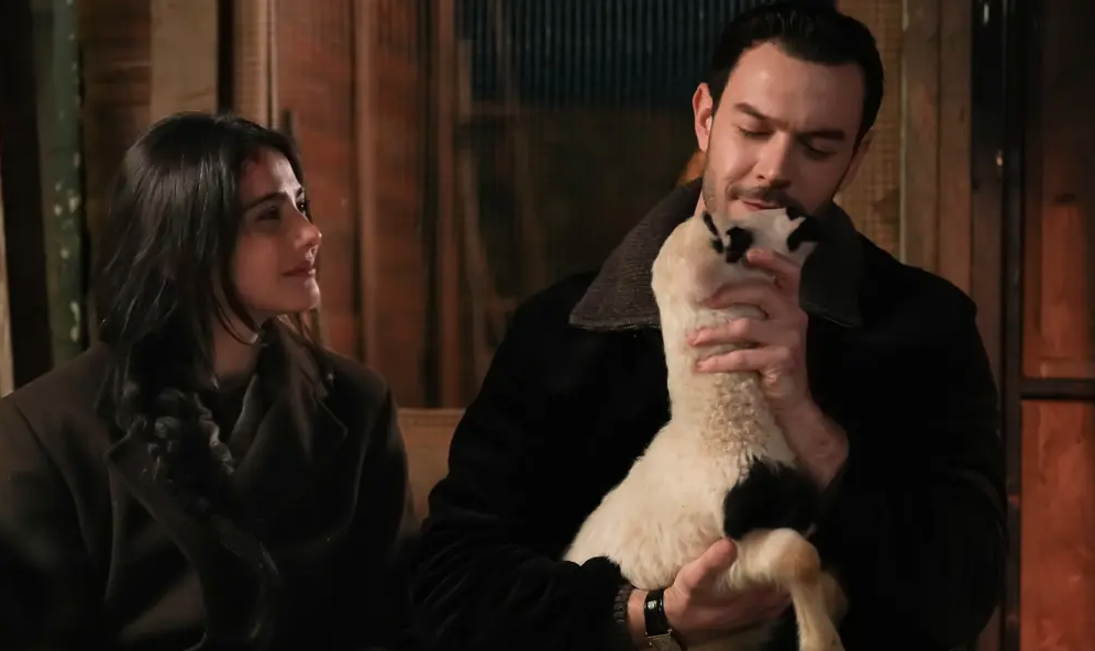 مسلسل أنت من أحببت الحلقة&nbsp;7