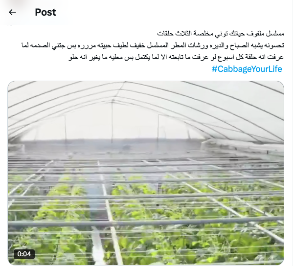 مسلسل&nbsp;Cabbage Your Life - ملفوف حياتك