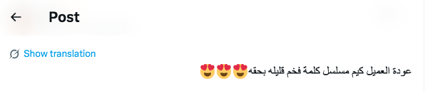 مسلسل عودة العميل كيم - Agent Kim Reactivated