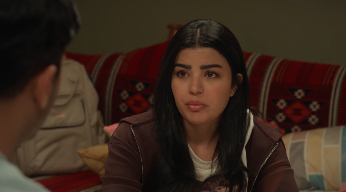 مسلسل أحلى نصيب الحلقة 13