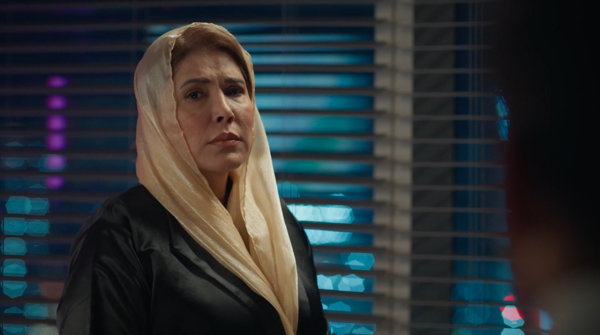 مسلسل أحلى نصيب الحلقة 20