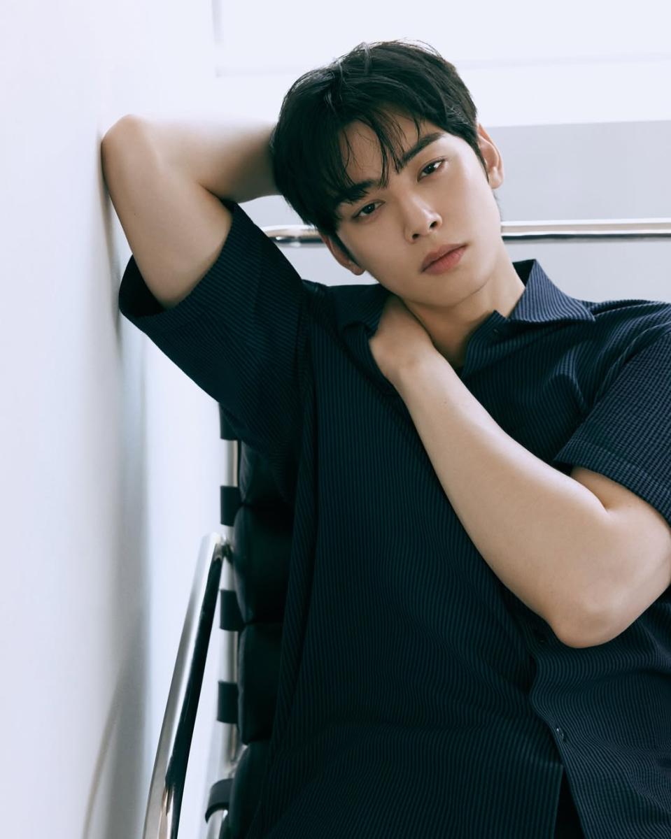 تشا أون وو - Cha Eun-woo - تشا أونو - التهرب الضريبي في كوريا الجنوبية - South Korea tax scandal - Fantagio agency - National Tax Service Korea - قضية ضرائب المشاهير - K-pop star tax investigation - سيول Seoul - إنتشون Incheon