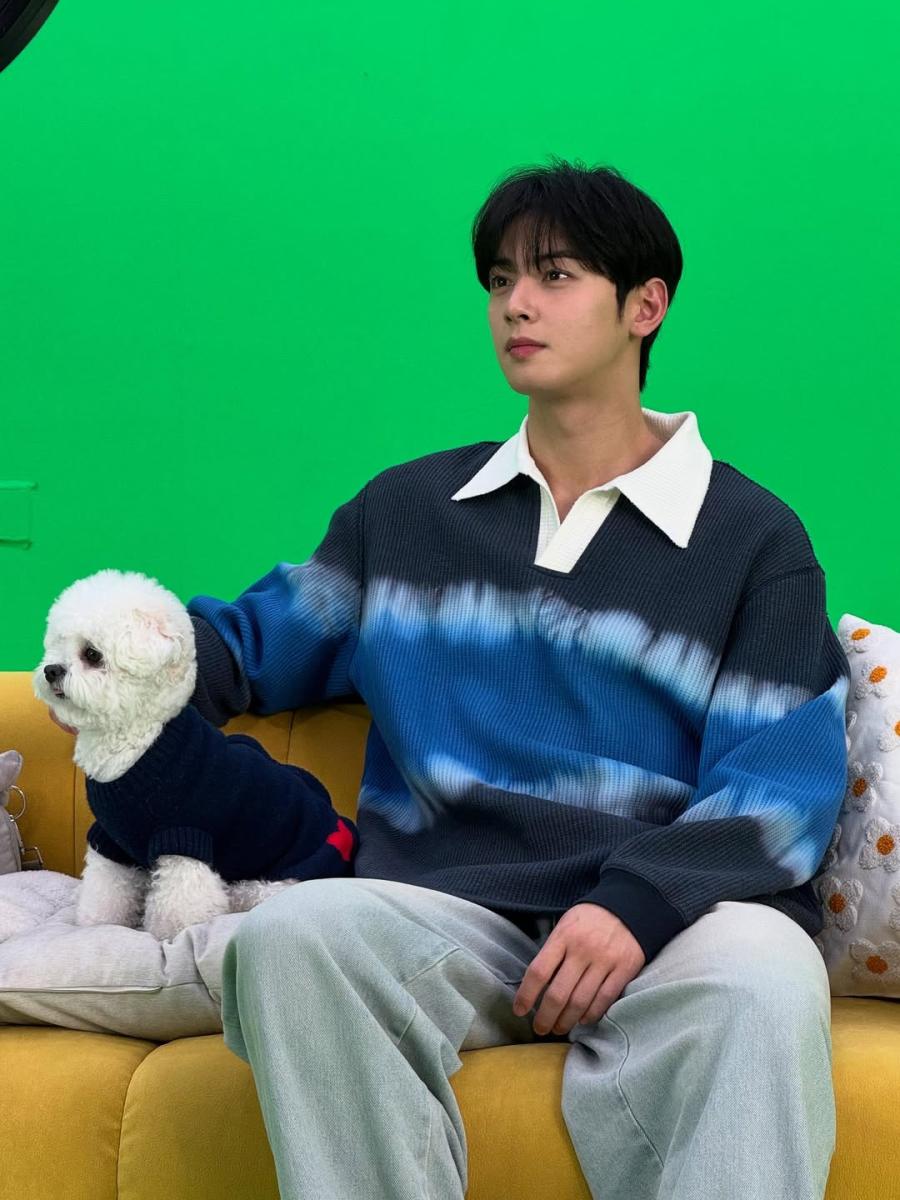 تشا أون وو - Cha Eun-woo - تشا أونو - التهرب الضريبي في كوريا الجنوبية - South Korea tax scandal - Fantagio agency - National Tax Service Korea - قضية ضرائب المشاهير - K-pop star tax investigation - سيول Seoul - إنتشون Incheon