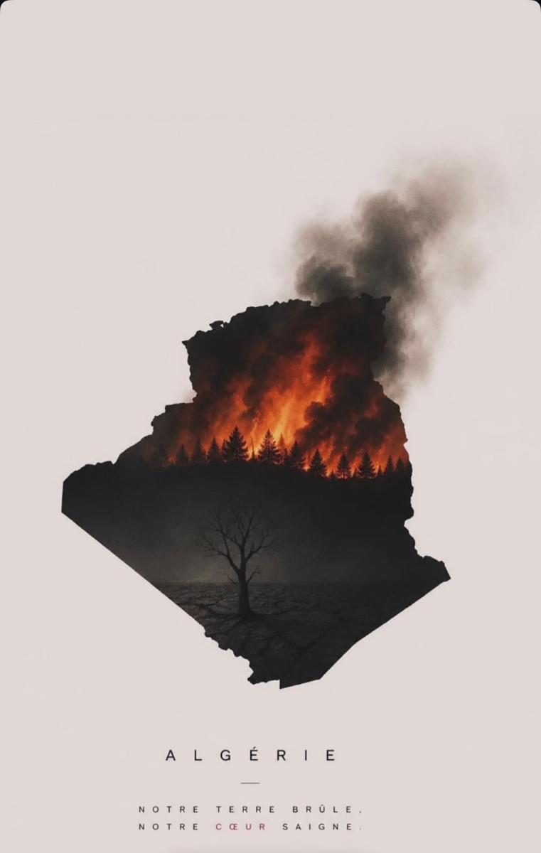 الجزائر