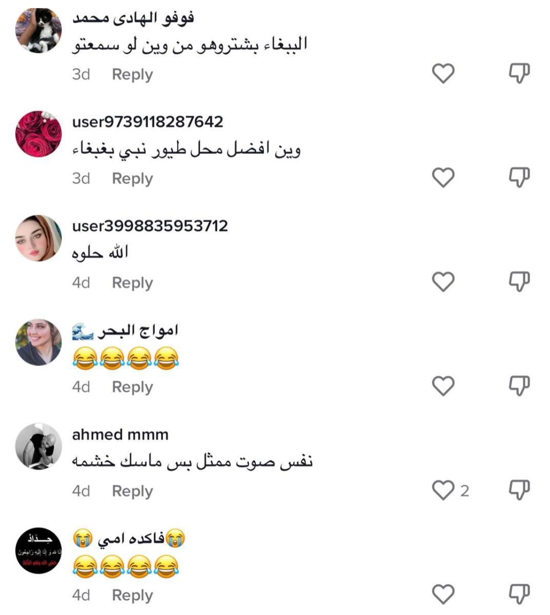 ببغاء حياتي المثالية 