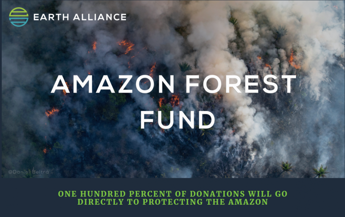 حملة التبرع للأمازون على موقع مؤسسة Earth Alliance