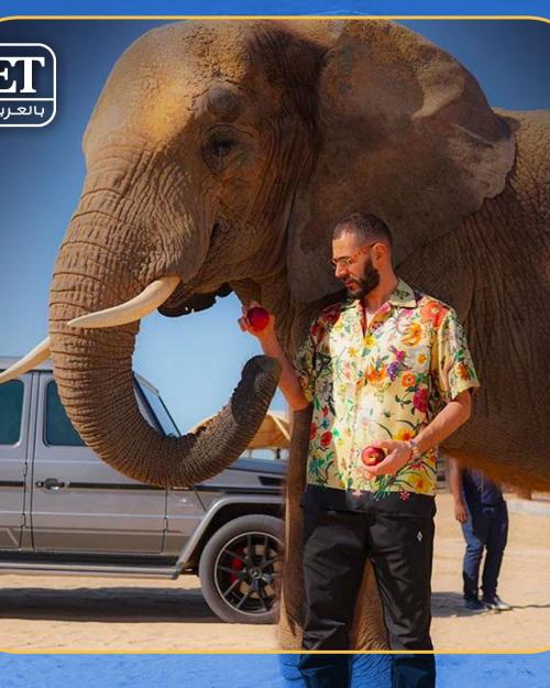 كريم بنزيما