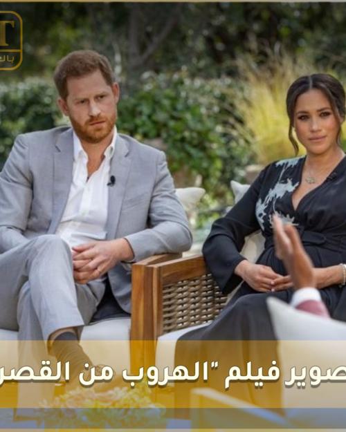 فيلم ميغان وهاري