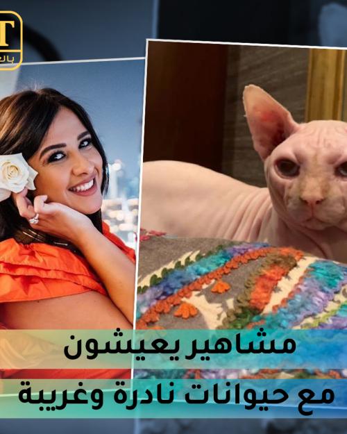 مشاهير مع حيونات نادرة