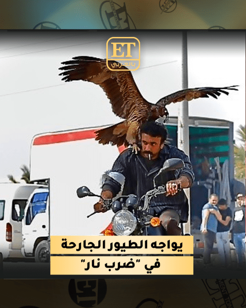 أحمد العوضي